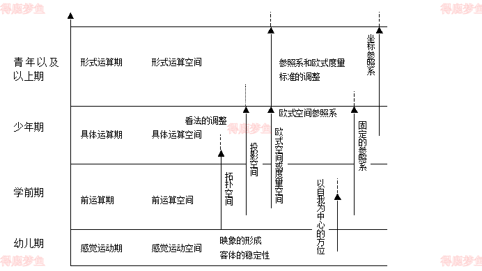 空间意识的个体发育